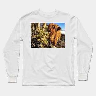 Scottish Highland Cattle Calf 1977 Long Sleeve T-Shirt